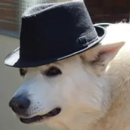 delapexy