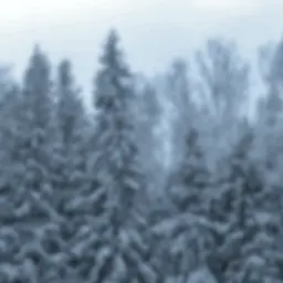 Dima777_Rus