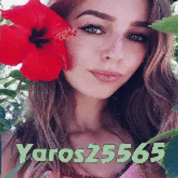 Yaros25565