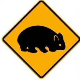 rakachaka