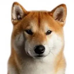 АкитаИну