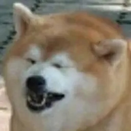 ElderJabka