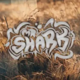 MrSharkTV2281337