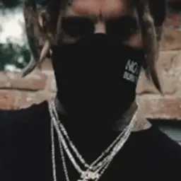 ven-vne1