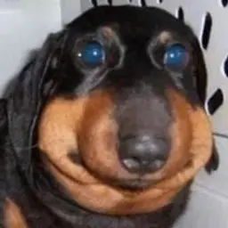 unnamedxd