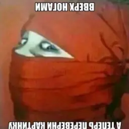 Ds_kor