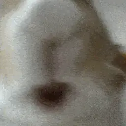 Kvinbleyd