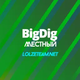 BigDig_inactive124551
