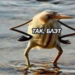 helpmi