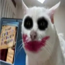 tonerxdd