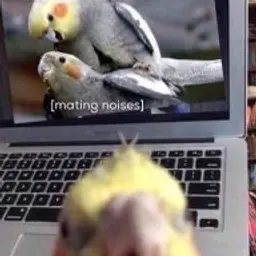 online_offf