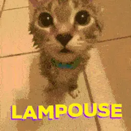 Lampouse