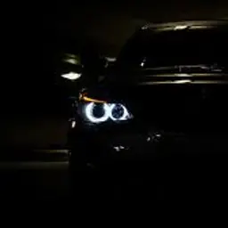 leovinci777