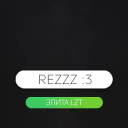 Rezzz:3135519