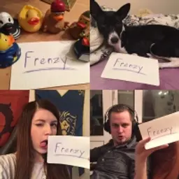 frenzy01293