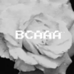 BCAAA