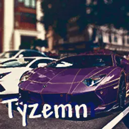 Tyzemn