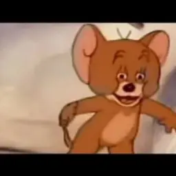 RomaFake6