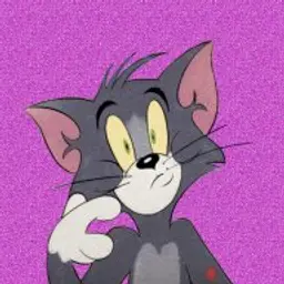 SatTom