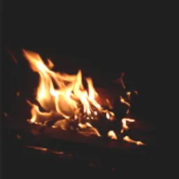 Alex_7775