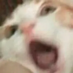 JonnyBro