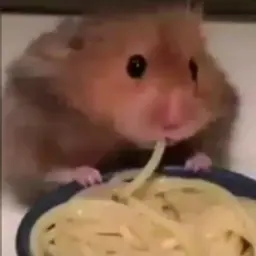 3umuu