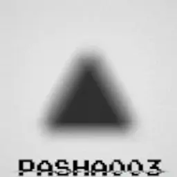 pasha003