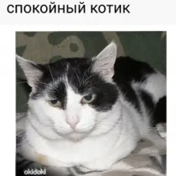 nekii13
