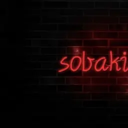 sobakin12