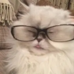 matvejack