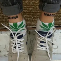 dimalol222