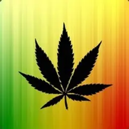 Freeman9999