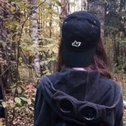 StyleBandit