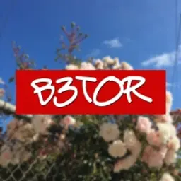 B3t0r