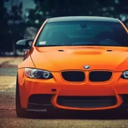 yollX