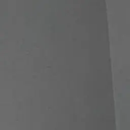 tCarlos6