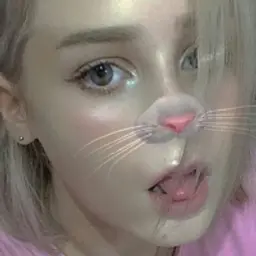 mrx_kotik