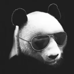 MrFace