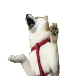 FaerMax