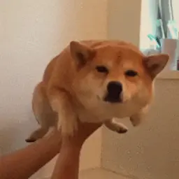 Jarino