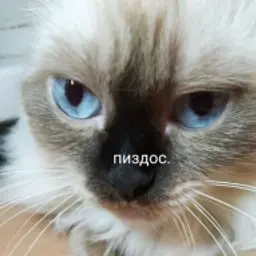 Убро
