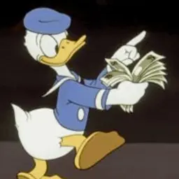 dd_duck