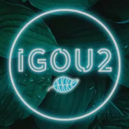 igou2