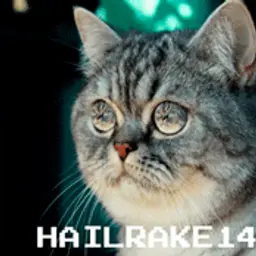 Hailrake141