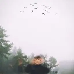 ruslan1122334