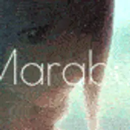 Marabu[akaTIDJ]209311