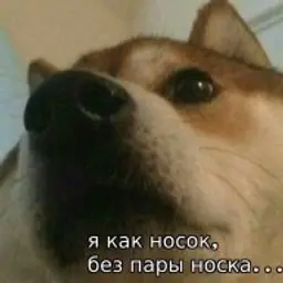 sashamarx