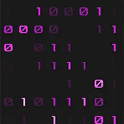binarycode
