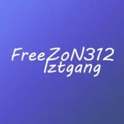 FreeZoN312