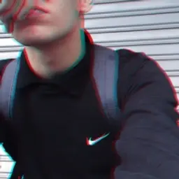 lLAMERl